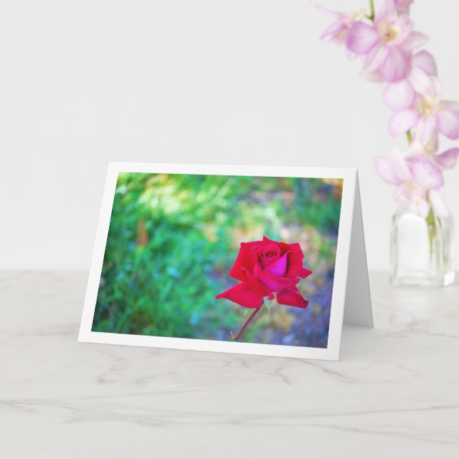 Tarjeta Retrato de Rosa de Jardín Rojo (Orquídea)