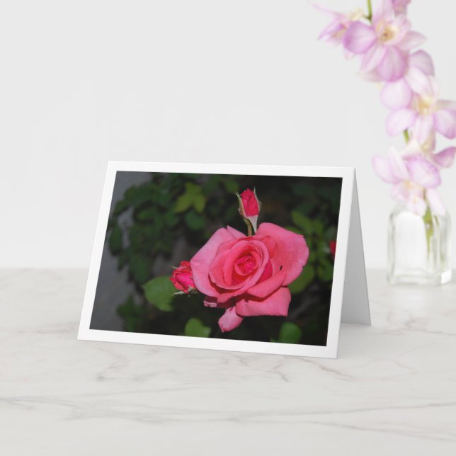 Tarjeta Retrato de rosa rosa y capullos de rosa (Orquídea)