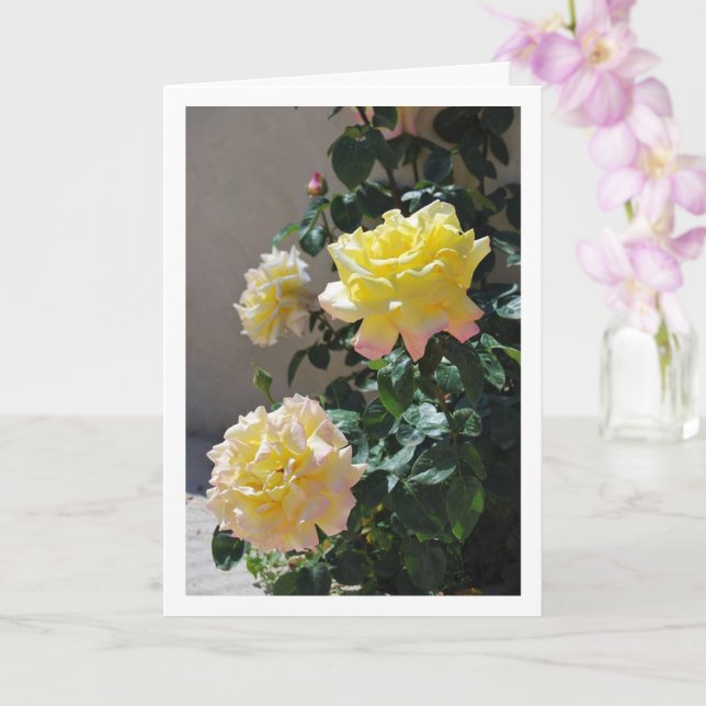 Tarjeta Retrato de Rosas Amarillas y Rosadas (Orquídea)