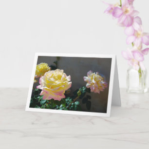Tarjeta Retrato de Rosas Amarillas y Rosadas