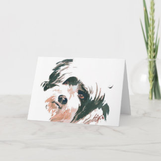 Tarjeta Retrato de Terrier tibetano