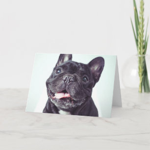 Tarjeta Retrato de un feliz Bulldog francés