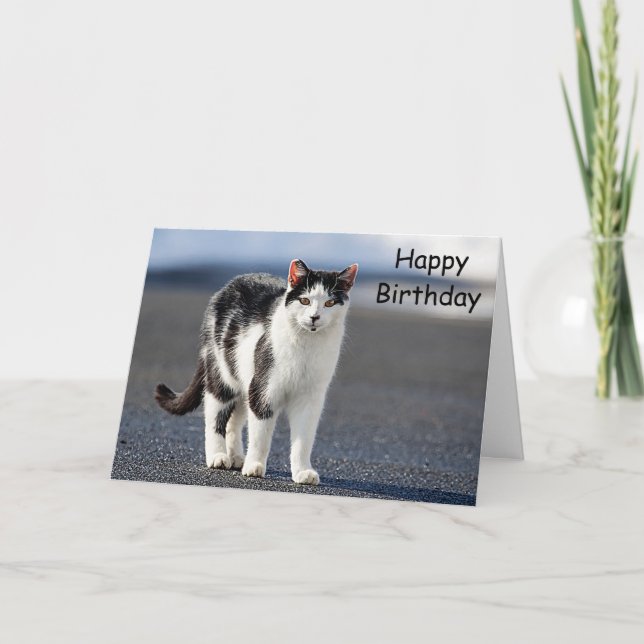 Tarjeta Retrato de un gato (Anverso)