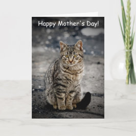 Tarjeta Retrato de un gato