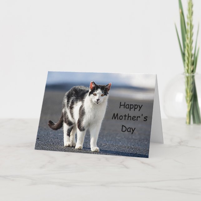 Tarjeta Retrato de un gato (Anverso)