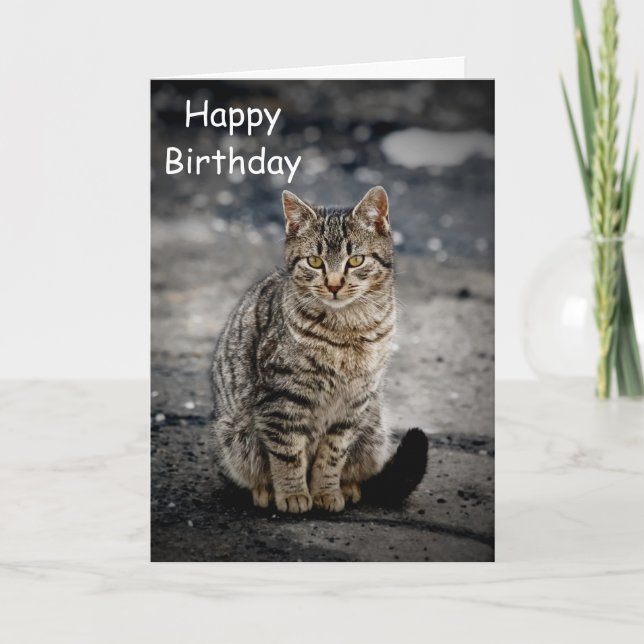 Tarjeta Retrato de un gato (Anverso)