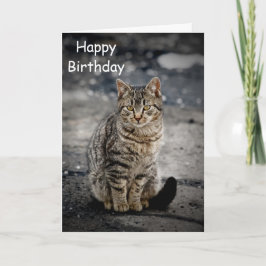 Tarjeta Retrato de un gato