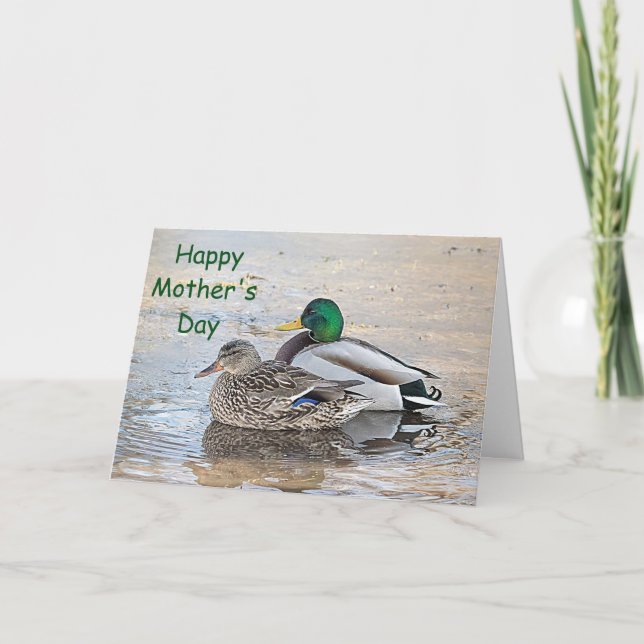 Tarjeta Retrato de un mallard masculino y femenino (Anverso)