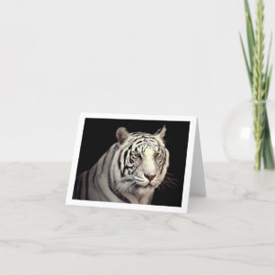 Tarjeta Retrato de un tigre de Bengala blanco