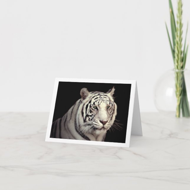Tarjeta Retrato de un tigre de Bengala blanco (Anverso)