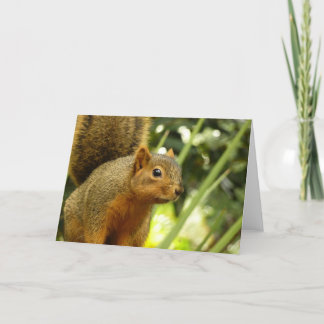 Tarjeta Retrato de una fotografía animal de la naturaleza