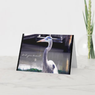 Tarjeta Retrato de una Gran Garza Azul