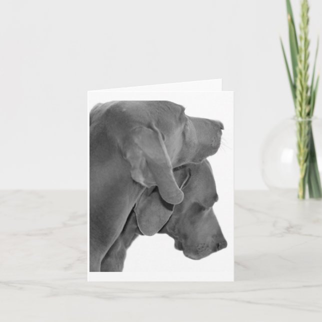 Tarjeta Retrato de Weim - negro y blanco (Anverso)