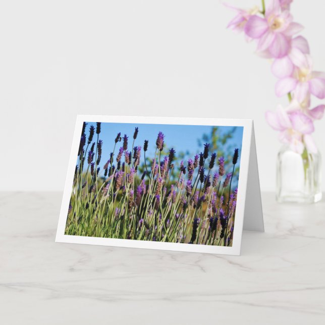 Tarjeta Retrato del cielo azul de lavanda salvaje (Orquídea)