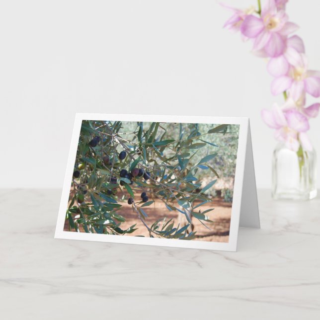 Tarjeta Retrato del olivo (Orquídea)