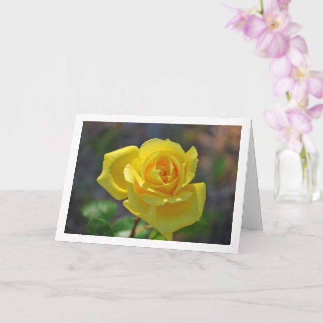 Tarjeta Retrato floral de rosa amarilla (Orquídea)