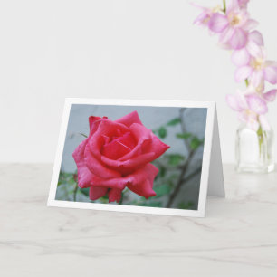 Tarjeta Retrato floral de rosa rosa