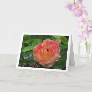 Tarjeta Retrato floral de rosa rosa y amarillo