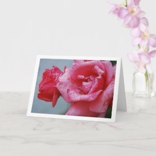 Tarjeta Retrato floral de rosas rosadas