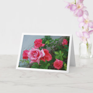 Tarjeta Retrato floral de rosas rosadas