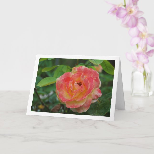 Tarjeta Retrato floral rosa y amarillo (Orquídea)