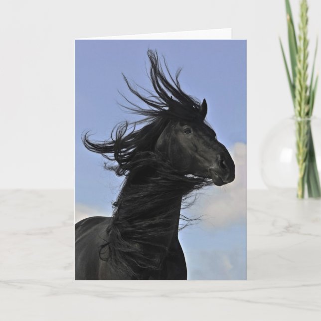 Tarjeta Retrato frisio negro del caballo (Anverso)