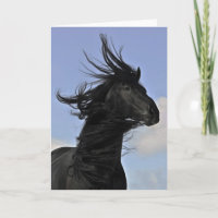 Retrato frisio negro del caballo
