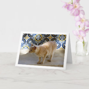 Tarjeta Retrato Ginger Cat