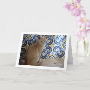 Tarjeta Retrato Ginger Cat