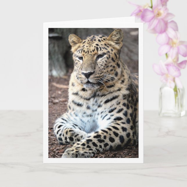 Tarjeta Retrato leopardo (Orquídea)