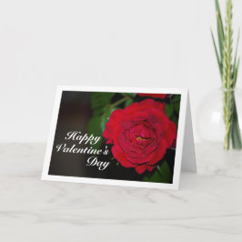 Tarjeta Retrato Nocturno de Rosa Roja