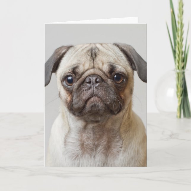 Tarjeta Retrato Pug (Anverso)