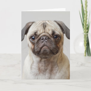 Tarjeta Retrato Pug