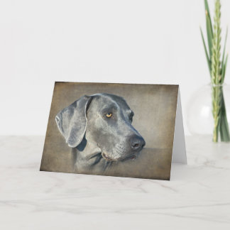 Tarjeta Retrato Silver Blue Weimaraner
