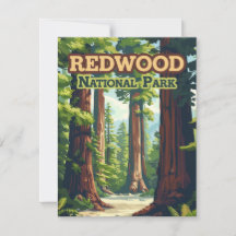 Tarjeta Retro de Árbol del Parque Nacional Redwood