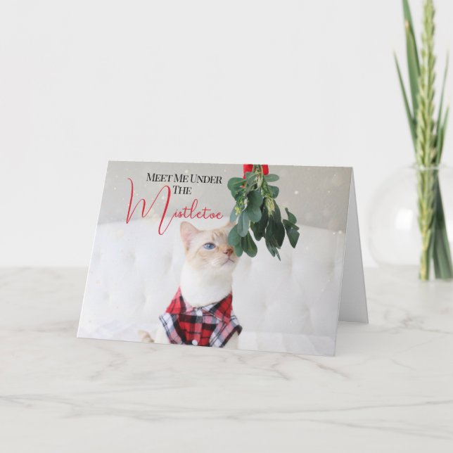 Tarjeta Reúnete conmigo con los Navidades de gato mistleto (Anverso)