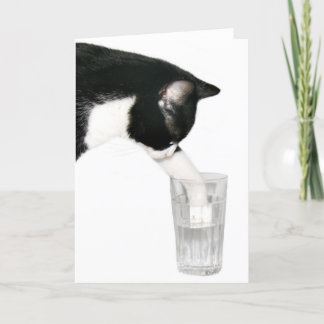 Tarjeta Reúnete conmigo para beber gato
