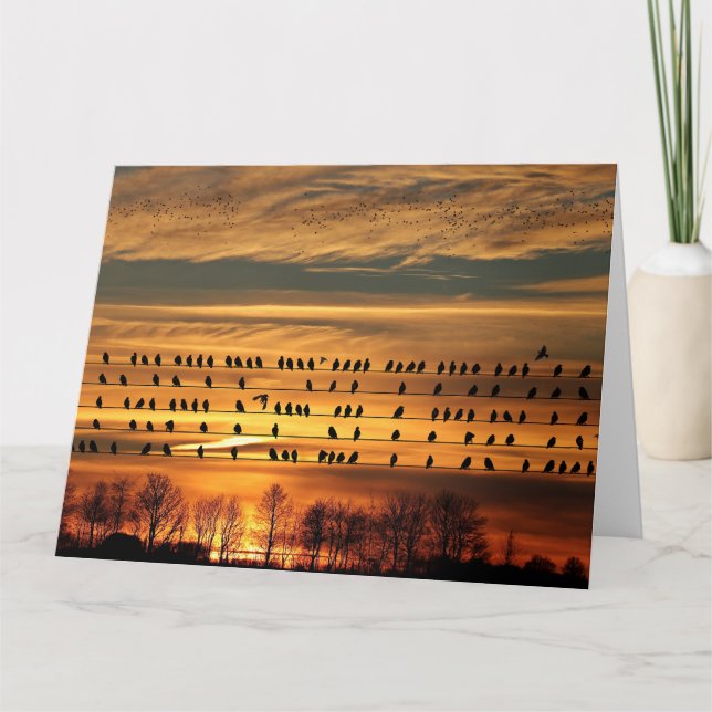 Tarjeta Reunión de estorninos (Anverso)