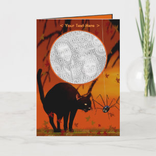 Tarjeta Reunión de Halloween - gato y araña (marco de la