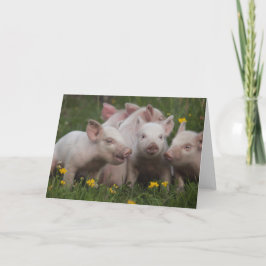Tarjeta Reunión de los tres cerditos