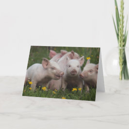 Tarjeta Reunión de los tres cerditos
