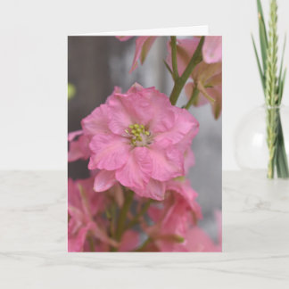 Tarjeta Reverencia Rosada – Flor Macro Floral Rosa