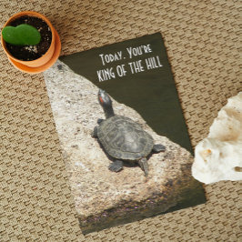 Tarjeta Rey de la Colina Tortuga en la Roca Cumpleaños Nat