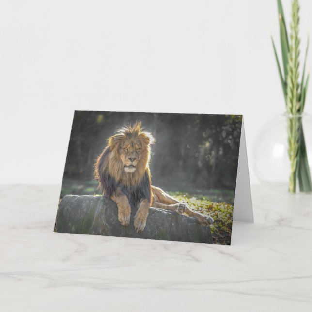 Tarjeta Rey León de la Selva (Anverso)