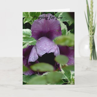 Tarjeta Rezando por ti