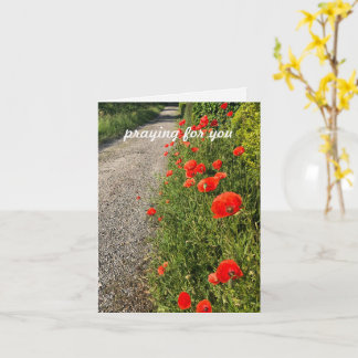 Tarjeta Rezando por ti, texto personalizado fotografía ori