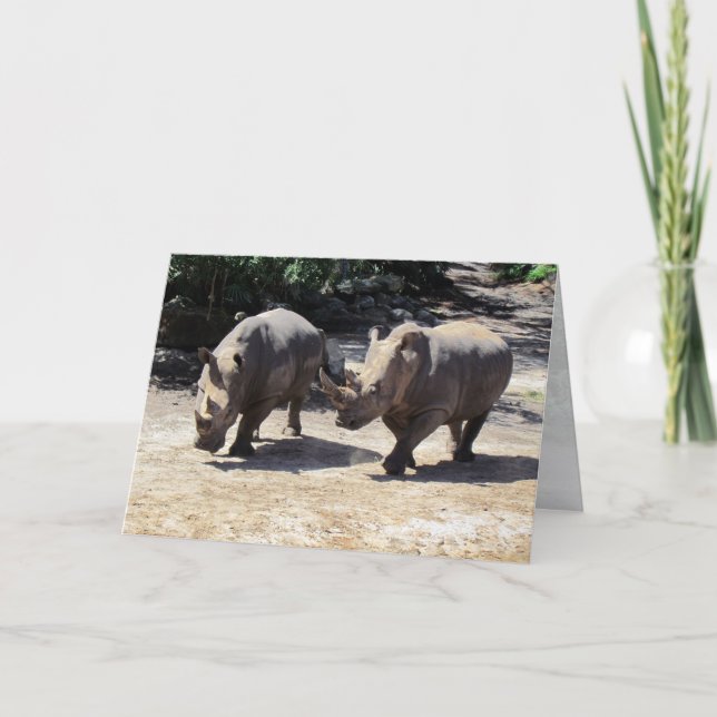 Tarjeta Rhino (Anverso)