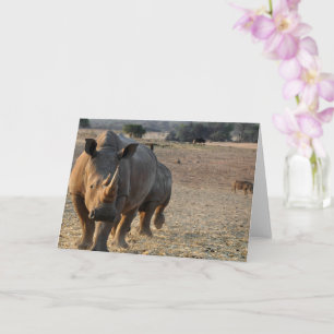 Tarjeta Rhino