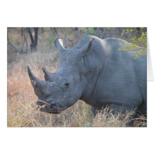Tarjeta Rhino