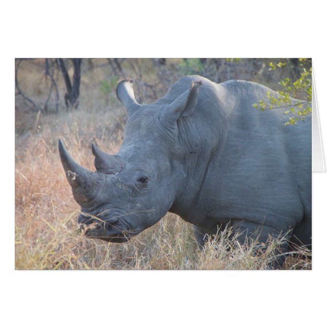 Tarjeta Rhino (Anverso (Horizontal))